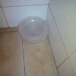 Sauna y Duchas