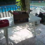 Quincho y piscina
