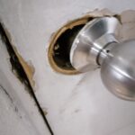 IMG_20210808_203427